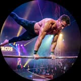Акробаты на турниках